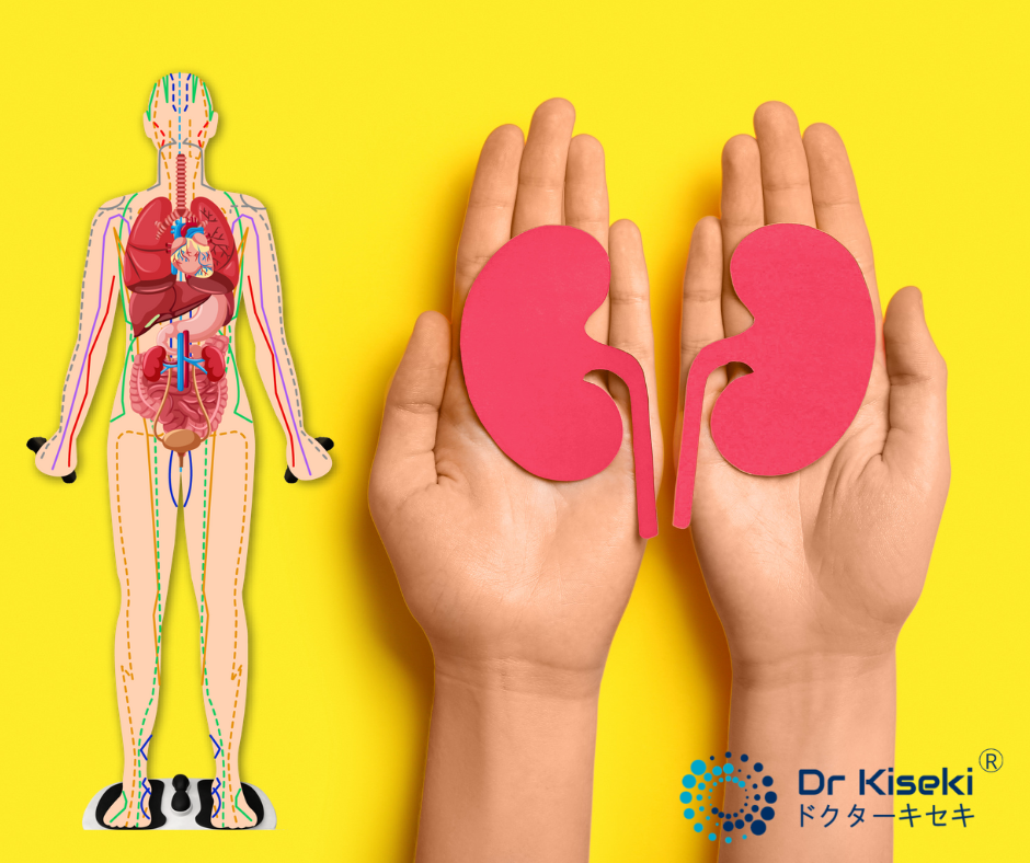 Dialysis Relief at Home with Dr Kiseki